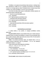 Referāts 'Pamatlīdzekļu uzskaites analīze uzņēmumā SIA "E"', 8.