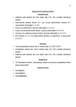 Referāts 'Pamatlīdzekļu uzskaites analīze uzņēmumā SIA "E"', 21.