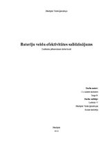 Referāts 'Bateriju veidu efektivitātes salīdzinājums', 1.