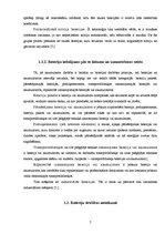 Referāts 'Bateriju veidu efektivitātes salīdzinājums', 7.