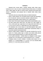 Referāts 'Bateriju veidu efektivitātes salīdzinājums', 17.