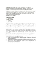 Konspekts 'Veselīgs uzturs', 2.