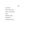 Biznesa plāns 'Mārketinga plāns lauku viesnīcai "Jumurdas muiža"', 2.