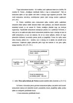 Diplomdarbs 'Autoskolas "Imanta" iekšējās un ārējās vides analīze', 47.