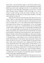 Referāts 'Radiostacijas "Radio Tev" un televīzijas kanāla "Rīga TV24" vizuālās komunikācij', 21.