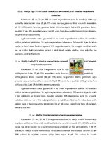 Referāts 'Radiostacijas "Radio Tev" un televīzijas kanāla "Rīga TV24" vizuālās komunikācij', 25.