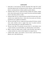 Referāts 'Radiostacijas "Radio Tev" un televīzijas kanāla "Rīga TV24" vizuālās komunikācij', 29.