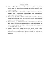 Referāts 'Radiostacijas "Radio Tev" un televīzijas kanāla "Rīga TV24" vizuālās komunikācij', 30.