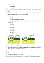 Referāts 'Radiostacijas "Radio Tev" un televīzijas kanāla "Rīga TV24" vizuālās komunikācij', 43.