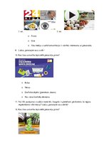 Referāts 'Radiostacijas "Radio Tev" un televīzijas kanāla "Rīga TV24" vizuālās komunikācij', 44.