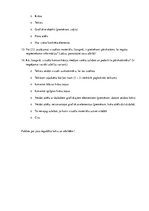 Referāts 'Radiostacijas "Radio Tev" un televīzijas kanāla "Rīga TV24" vizuālās komunikācij', 45.