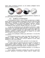 Referāts 'PUR, PIR, EPC siltumizolācija', 11.