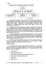 Referāts 'Innovaton Norway tūrisma organizācija', 2.