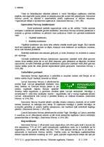 Referāts 'Innovaton Norway tūrisma organizācija', 4.