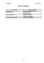 Biznesa plāns 'Skaistumkopšanas salona biznesa plāns', 13.