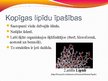 Prezentācija 'Lipīdi', 3.