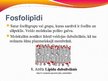 Prezentācija 'Lipīdi', 13.