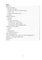 Biznesa plāns 'Biznesa plāns', 2.