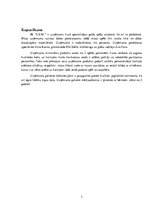 Biznesa plāns 'Biznesa plāns', 3.