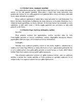 Biznesa plāns 'Biznesa plāns', 7.