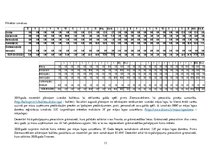 Biznesa plāns 'Biznesa plāns', 13.