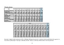 Biznesa plāns 'Biznesa plāns', 16.