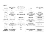 Biznesa plāns 'Biznesa plāns', 21.