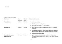 Biznesa plāns 'Biznesa plāns', 25.