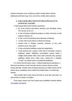 Referāts 'Interneta sistēmas prasību specifikācijas izstrāde', 6.