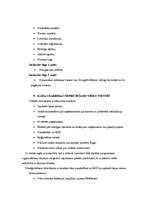 Referāts 'Interneta sistēmas prasību specifikācijas izstrāde', 11.