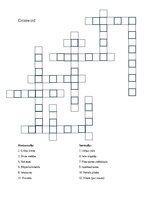 Paraugs 'Practical activity - crossword on various topics', 1.