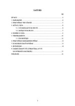 Referāts 'Personības saskarsmes analīze', 2.