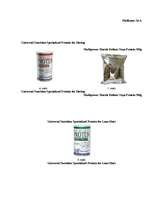 Referāts 'Proteīna ietekme uz cilvēka organismu', 29.