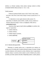 Referāts 'Saskarsmes loma cilvēku dzīvē un profesijā', 2.