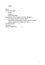 Referāts 'Dažādās ārējo novērtējumu sniedzošas organizācijas', 2.