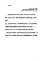 Referāts 'Dažādās ārējo novērtējumu sniedzošas organizācijas', 3.