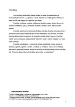 Referāts 'Dažādās ārējo novērtējumu sniedzošas organizācijas', 5.