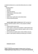 Referāts 'Dažādās ārējo novērtējumu sniedzošas organizācijas', 8.