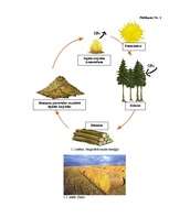 Referāts 'Biomasu resursi Rēzeknes pilsētā', 23.
