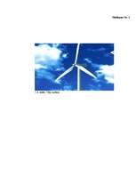 Referāts 'Biomasu resursi Rēzeknes pilsētā', 25.