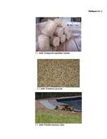 Referāts 'Biomasu resursi Rēzeknes pilsētā', 26.