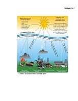 Referāts 'Biomasu resursi Rēzeknes pilsētā', 28.