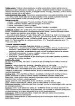 Konspekts 'Iekšējais audits', 4.