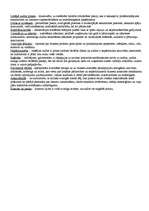 Konspekts 'Iekšējais audits', 5.