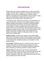 Konspekts 'Cilvēka būtība filozofijā', 1.