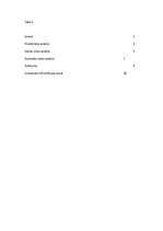 Referāts 'Ergonomiskā analīze', 1.