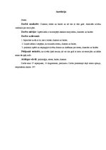 Referāts 'Stress, bailes dusmas', 3.