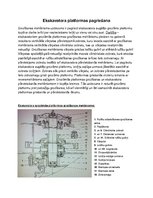 Konspekts 'Ekskavatora platformas pagriešana', 1.