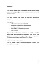 Referāts 'Reklāmas ietekme uz cilvēku', 2.