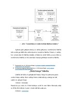 Referāts 'Līderības teorētiskie aspekti', 5.